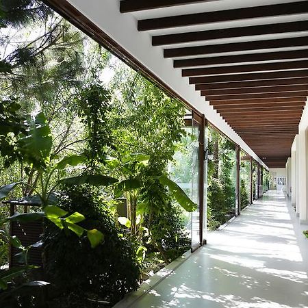 The Lifeco Bodrum Well-Being Detox Center And Vegan Hotel (Adults Only) ゴルトゥルブク エクステリア 写真