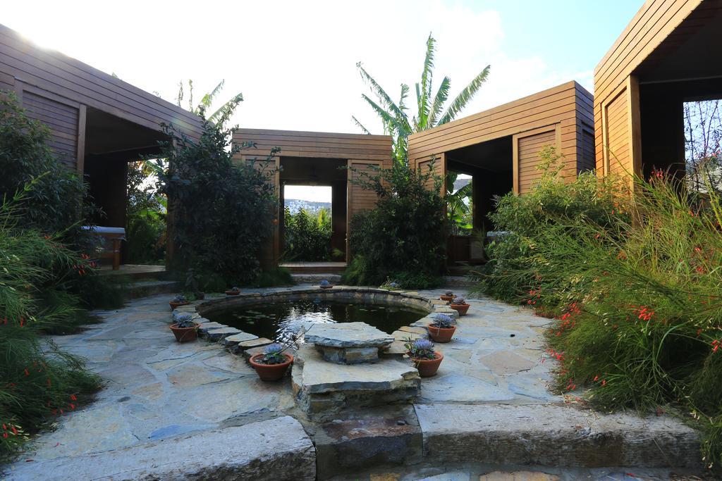 The Lifeco Bodrum Well-Being Detox Center And Vegan Hotel (Adults Only) ゴルトゥルブク エクステリア 写真