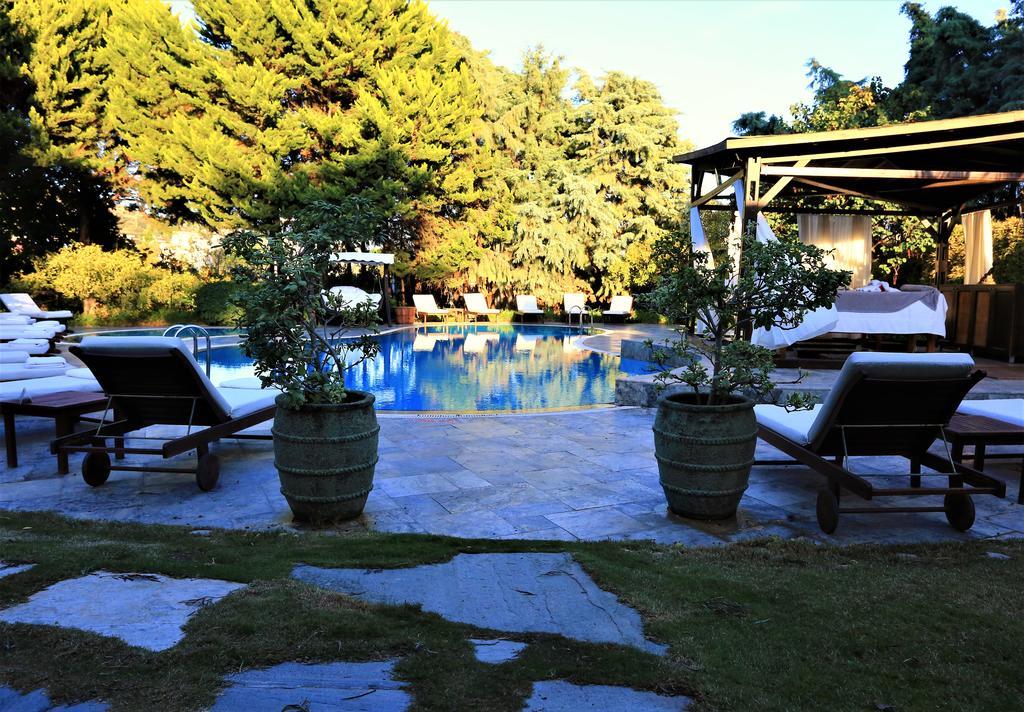 The Lifeco Bodrum Well-Being Detox Center And Vegan Hotel (Adults Only) ゴルトゥルブク エクステリア 写真