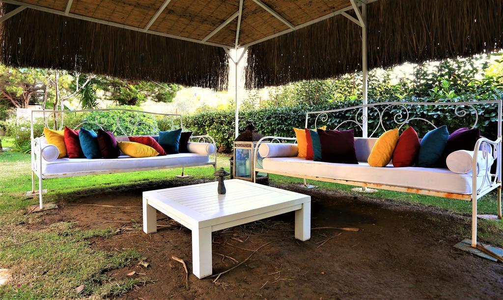 The Lifeco Bodrum Well-Being Detox Center And Vegan Hotel (Adults Only) ゴルトゥルブク エクステリア 写真