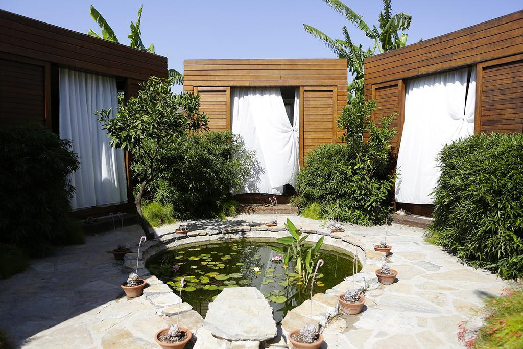 The Lifeco Bodrum Well-Being Detox Center And Vegan Hotel (Adults Only) ゴルトゥルブク エクステリア 写真